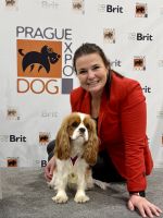 Bernský salašnický pes xara Bohemia Hagrid